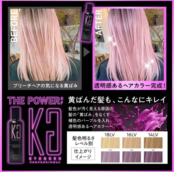 KYOGOKU 京極 カラーシャンプー ピンクパープル 200ml 幹細胞導入美容液付き