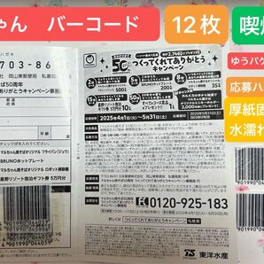 出品は5/24まで! マルちゃん 東洋水産 バーコード 12枚 キャンペーン 50周年 焼きそば 懸賞
