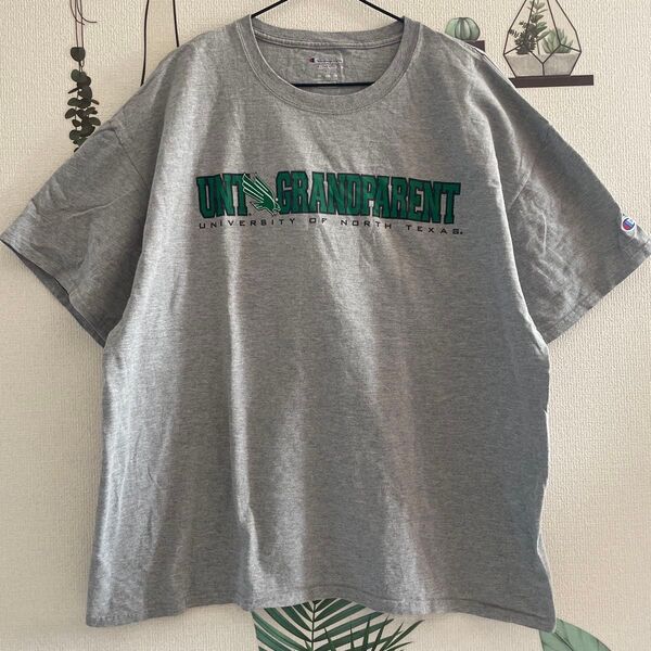 Champion チャンピオン Tシャツ 半袖 XL グレー ロゴ USED ユニセックス メンズ レディース USED 古着