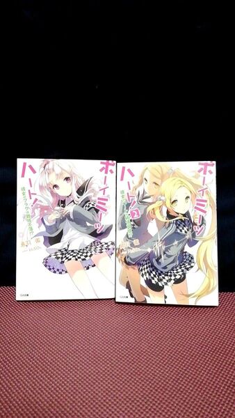 ボーイ・ミーツ・ハート! 彼女のフラグは難攻不落!? (GA文庫 と-02-05) 鳥羽徹/著