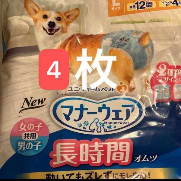 マナーウェア 長時間オムツ 男女 L 4枚 お試し 頼まれ物