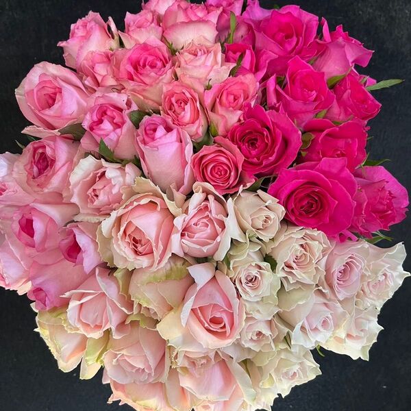 バラ・切り花・生花*ピンクアレンジMIX* 50本 長さ30㎝SMサイズ 産地直送!鮮度抜群・薔薇