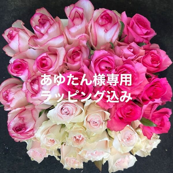 バラ・切り花・生花*ピンクアレンジMIX* 30本 長さ30㎝SMサイズ 産地直送!鮮度抜群・薔薇 花束