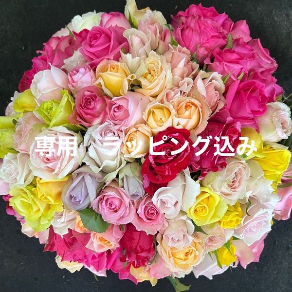 新商品!!短めバラ 《切り花 生花 》おまかせMIX 20㎝100本 産地直送!鮮度抜群! 花束 薔薇