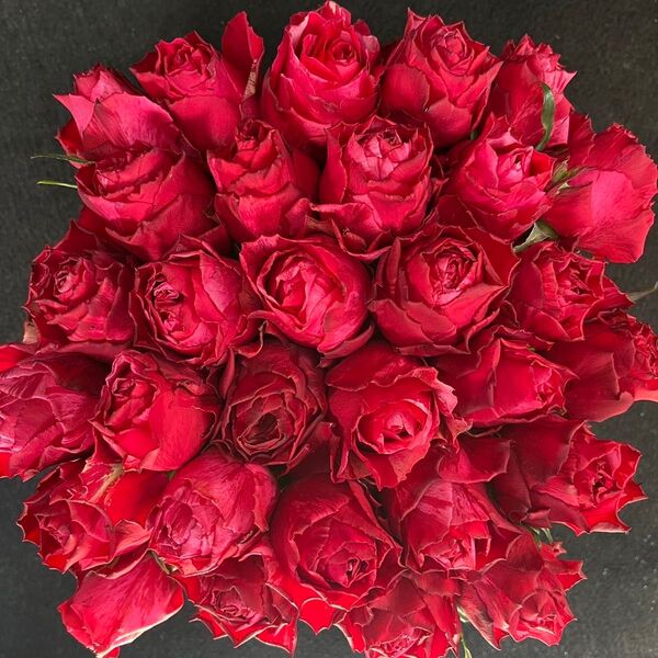 バラ(切り花 ・生花)フルフル(赤絞り) 30㎝SM 30本 産地直送!鮮度抜群!赤薔薇 花束 レッド