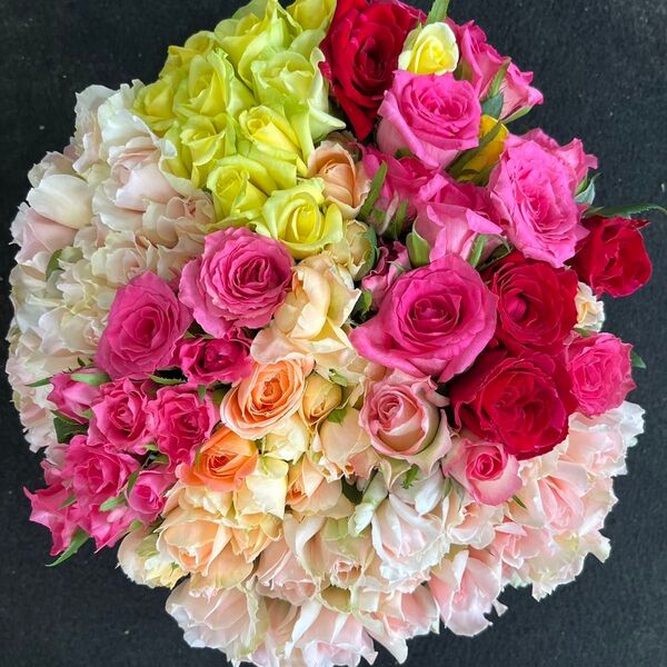 限定品!!バラ B品 切り花・生花【画像参照】30㎝ 100本 規格外品・お得品 産地直送!鮮度抜群!おまかせミックス
