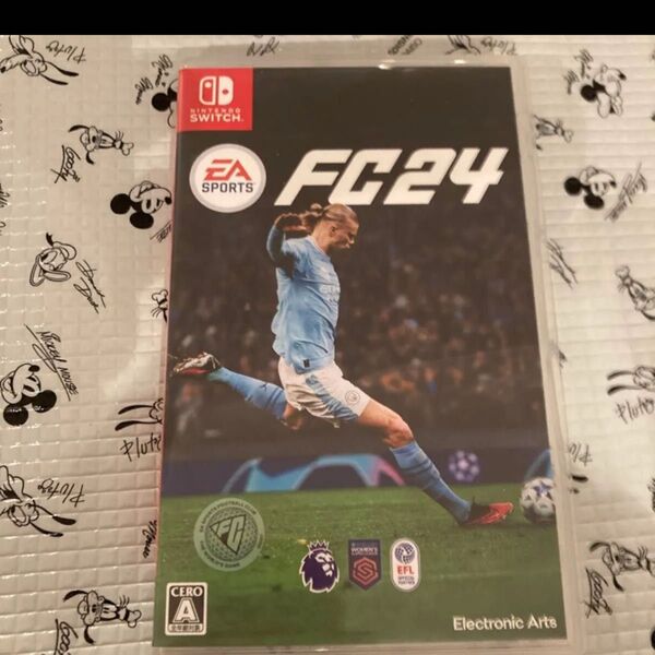 Switch fc 24
