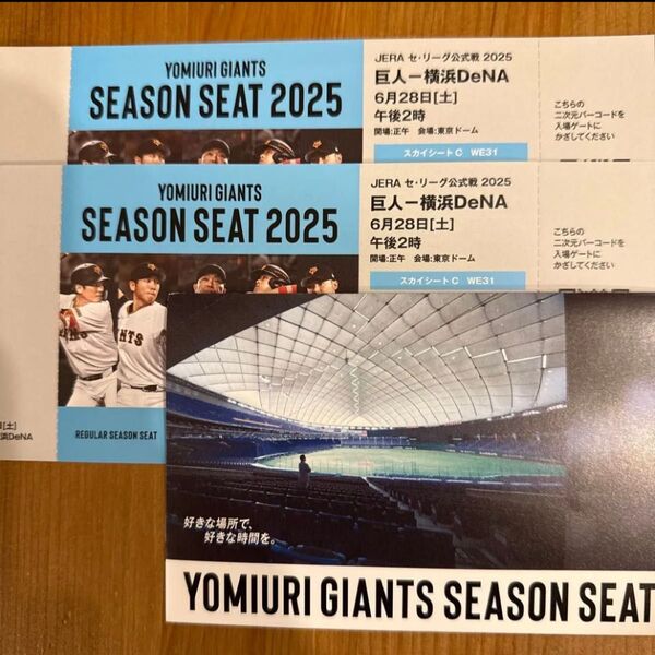 6月28日巨人vs横浜DeNA戦チケット2枚ペアセット