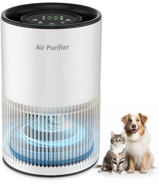 空気清浄機 小型 静音 卓上 20畳 PM2.5 タバコ 除菌 アレルギー対策