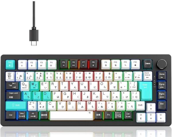 新品未開封 業界オリジナル開発・日本語配列とカナ印字一体 メカニカルキーボード