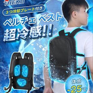 ペルチェベスト 冷却プレート付き 冷却ベスト 新品未使用 作業服