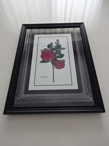アートフレーム§A4額(選択可)写真ポスター付§カメリア・赤・花・植物・アンティーク風・ビンテージ風・椿・薔薇のお好きな方にも