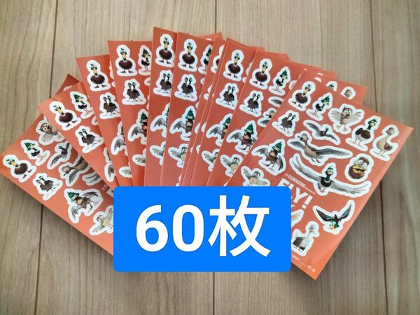 60枚 FLY! フライ 非売品 ステッカー シール