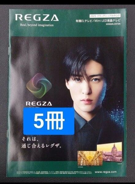 5冊 目黒蓮 レグザ REGZA フライヤー チラシ