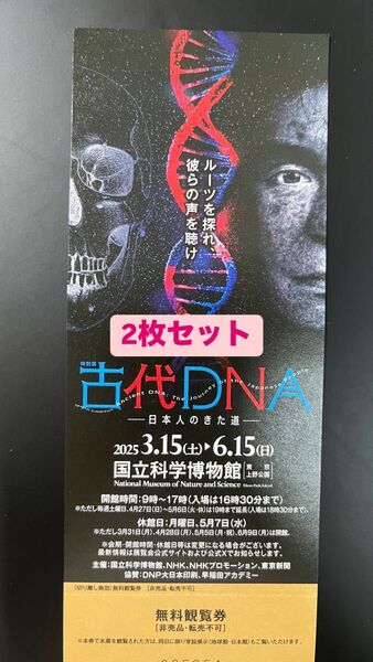 古代DNA展 一般入場券2枚セット