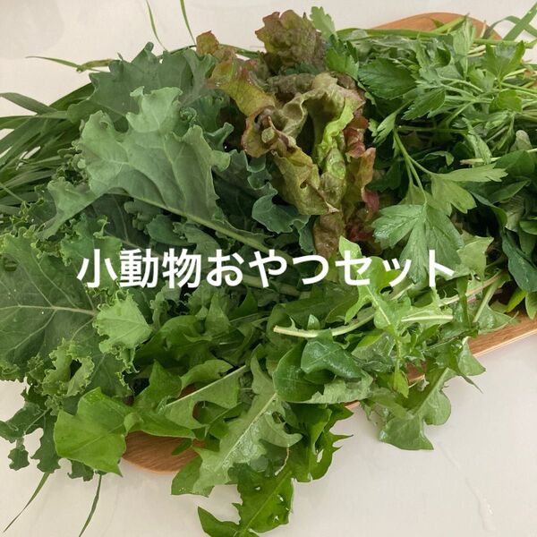 小動物おやつセット