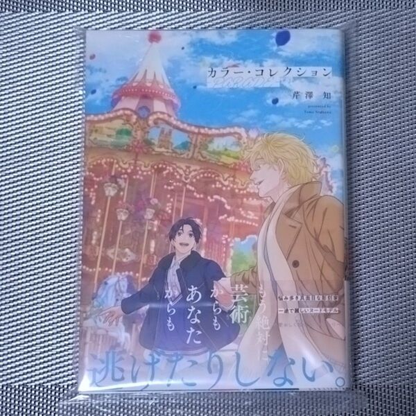 カラーコレクション ―PARADE― 芹澤知