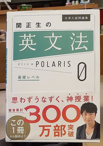 大学入試問題集関正生の英文法ポラリス 0 関正生/著