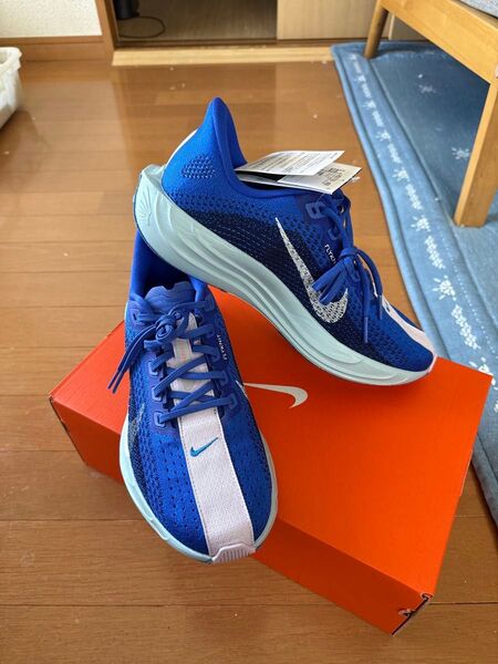 NIKEペガサスプラス
