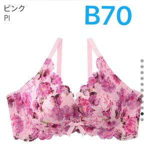 エメフィール シャルムカシュクール 脇高 ブラ セット