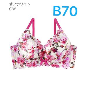 エメフィール 脇高 ベリッシマ カシュクール ブラ 上下 セット