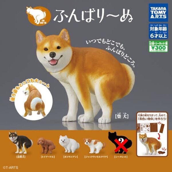 ふんばり~ぬ シークレット除くコンプリート 柴犬 黒柴犬 トイプードル マルチーズ ジャックラッセルテリア ふんばりーぬ