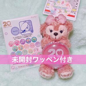 【ワッペン付き】シェリーメイ ダッフィー&フレンズ ぬいぐるみチャーム カラフルハピネス ディズニー