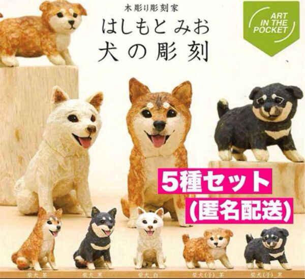木彫り彫刻家 はしもとみお 犬の彫刻 ガチャ コンプリート