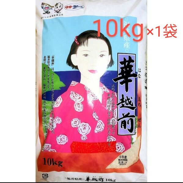 福井県産 華越前 白米 10kg×1袋 令和6年産 精米時期_2025年5月上旬