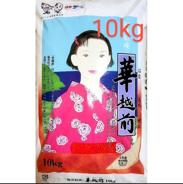 福井県産 華越前 白米 10kg×1袋 令和6年産 精米時期_2025年5月上旬