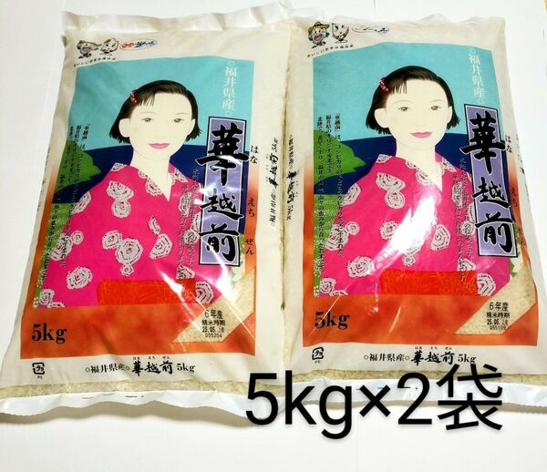 福井県産 華越前 白米 5kg×2袋 令和6年産 精米時期_2025年5月上旬