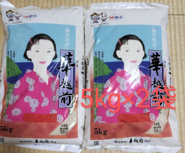 福井県産 華越前 白米 5kg×2袋 令和6年産 精米時期_2025年5月上旬