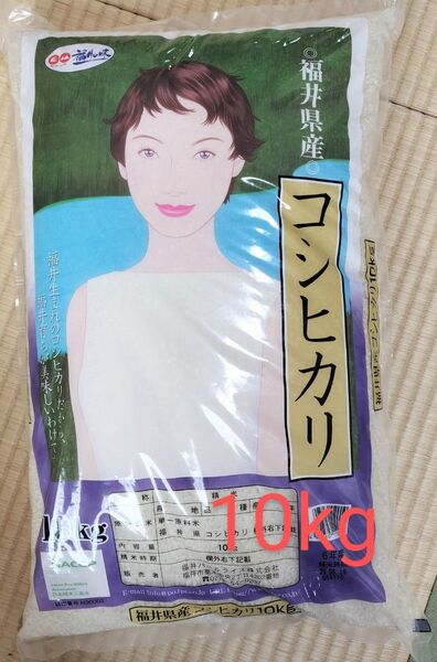 福井県産 コシヒカリ 10kg×1袋 令和6年産 白米 精米5月上旬 単一原料米