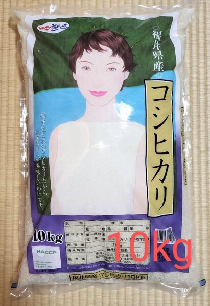 福井県産 コシヒカリ 10kg×1袋 令和6年産 白米 精米5月上旬 単一原料米