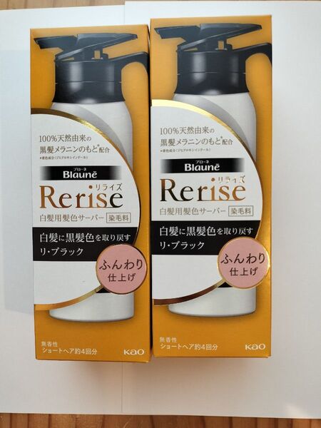 リライズ 白髪用髪色サーバー リ・ブラック ふんわり仕上げ 本体 2本