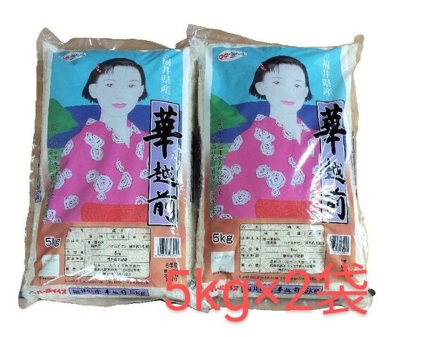 福井県産 華越前 白米 5kg×2袋 令和6年産 精米時期_2025年5月中旬