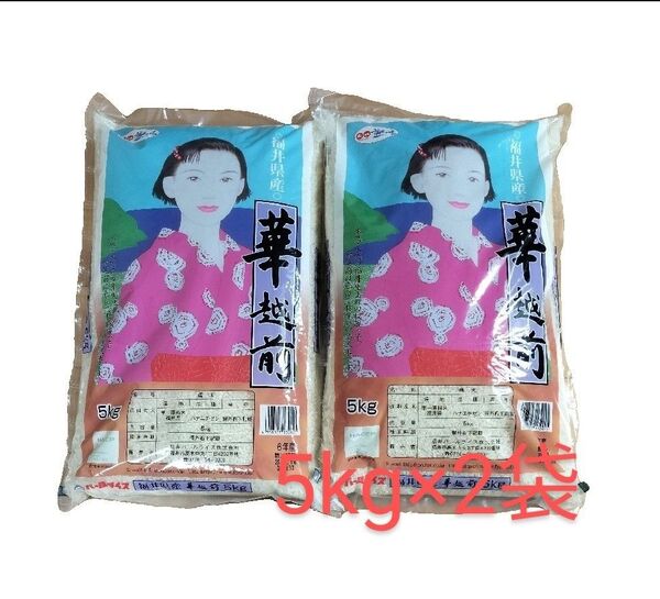 福井県産 華越前 白米 5kg×2袋 令和6年産 精米時期_2025年5月中旬