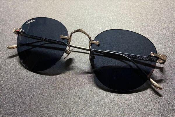Cartier CT0393S 001 シャイニーシルバー サングラス