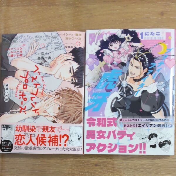 プリティーファイター虎牙 1 (集英社ホームコミックス) にたこ ベストフレンドプロポーズコミック