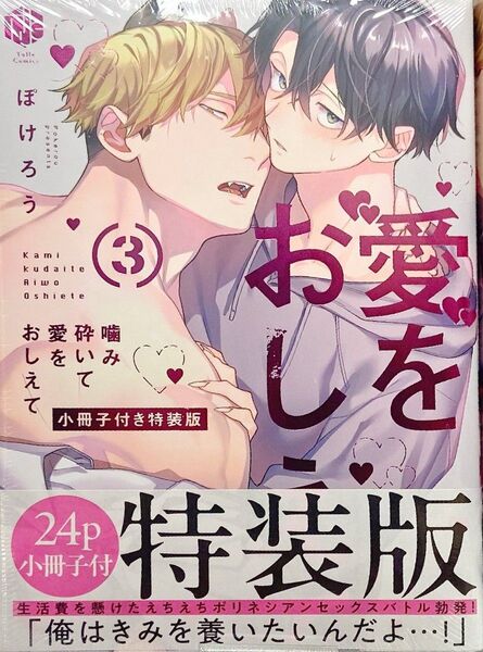 噛み砕いて愛をおしえて(3) 小冊子付き特装版