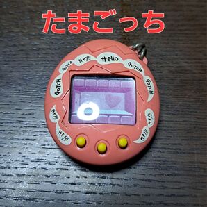 たまごっち本体 ピンク バンダイ BANDAI