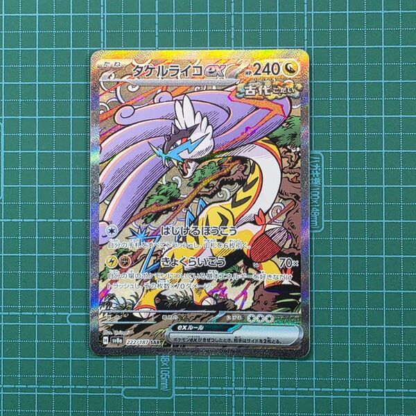 ポケモンカードゲーム タケルライコex 222/187 SAR