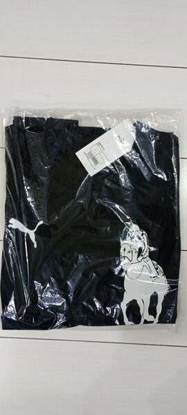 ノーザンホースパークマラソン参加賞 MサイズTシャツ