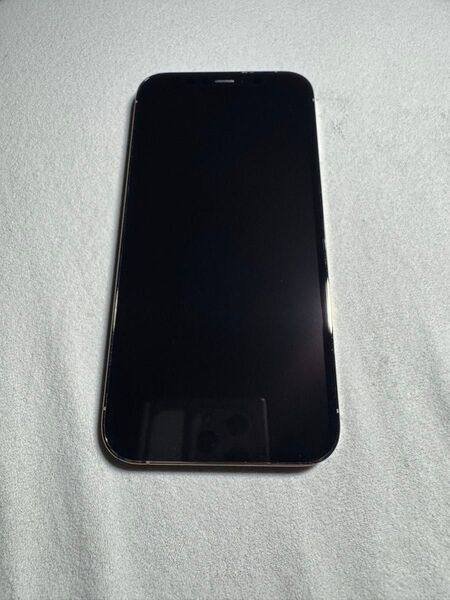 iPhone 12 Pro カラーゴールド容量256GBSIMロック‥解除済み付属品本体のみ