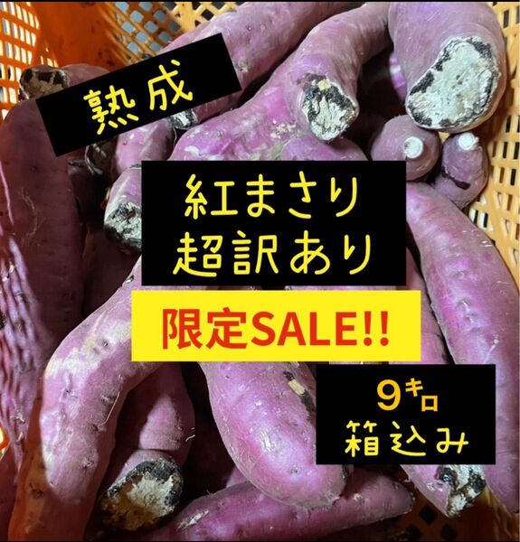 限定セール!!熟成紅まさり超訳あり9㌔箱込み