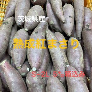熟成紅まさり5㌔箱込み