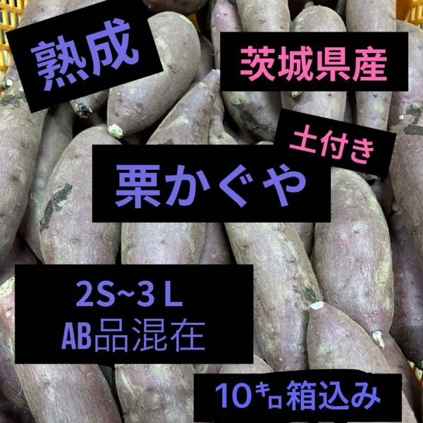 熟成栗かぐやA.B混在10㌔箱込み