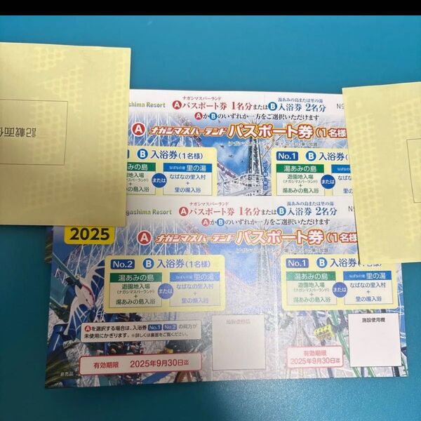 ナガシマスパーランド パスポート券 2名分