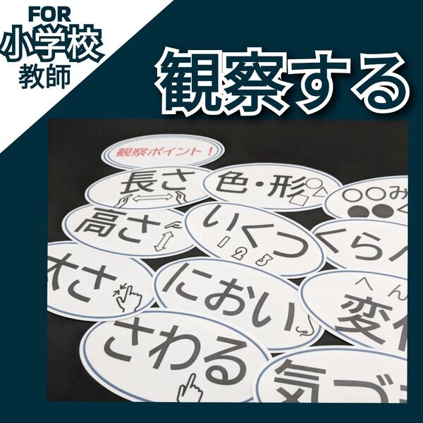 小学校教師用教材教具 理科 観察カード 観察のポイント指導 授業準備