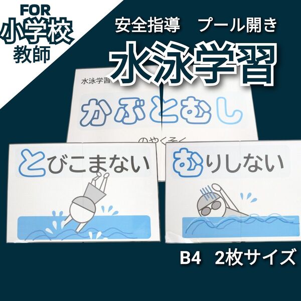小学校体育 水泳学習 プール開き 安全指導 資料 小学校教師用教材 授業準備